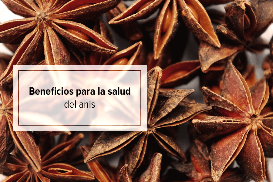 Beneficios Y Propiedades Del Anis Para La Salud Saludeo