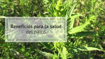 paico